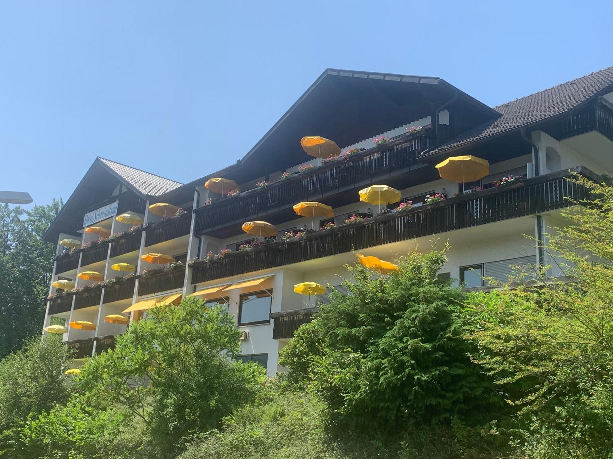 Hotel Schauinsland Bad Peterstal-Griesbach Exterior foto